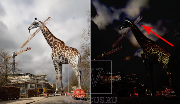 Фотошоп или нет? Онлайн проверка фото на фейк